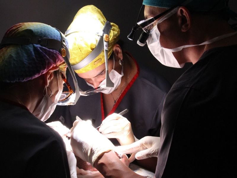 Transplante Capilar em Curitiba Como escolher um medico cirurgiao para o transplante capilar