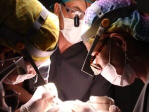 Cuidados Pre Operatorios no Transplante Capilar em Curitiba