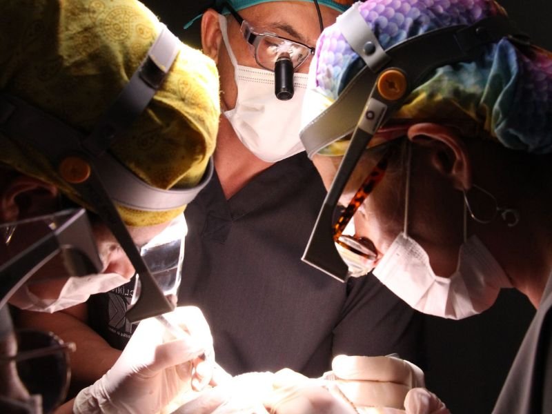 Cuidados Pre Operatorios no Transplante Capilar em Curitiba